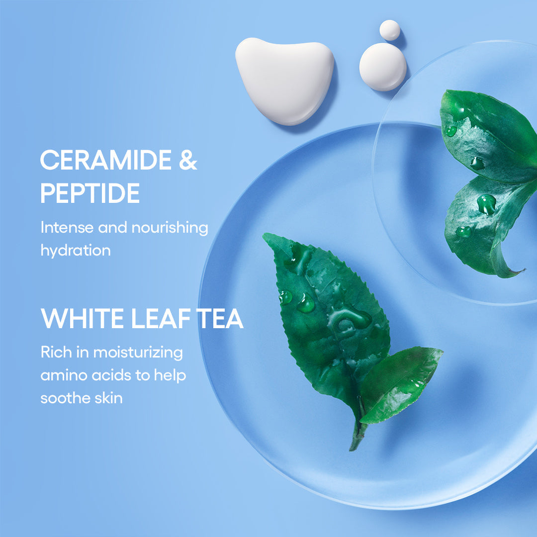 Cream Skin Mist Duo Skincare Choices for Your Personal Lineup