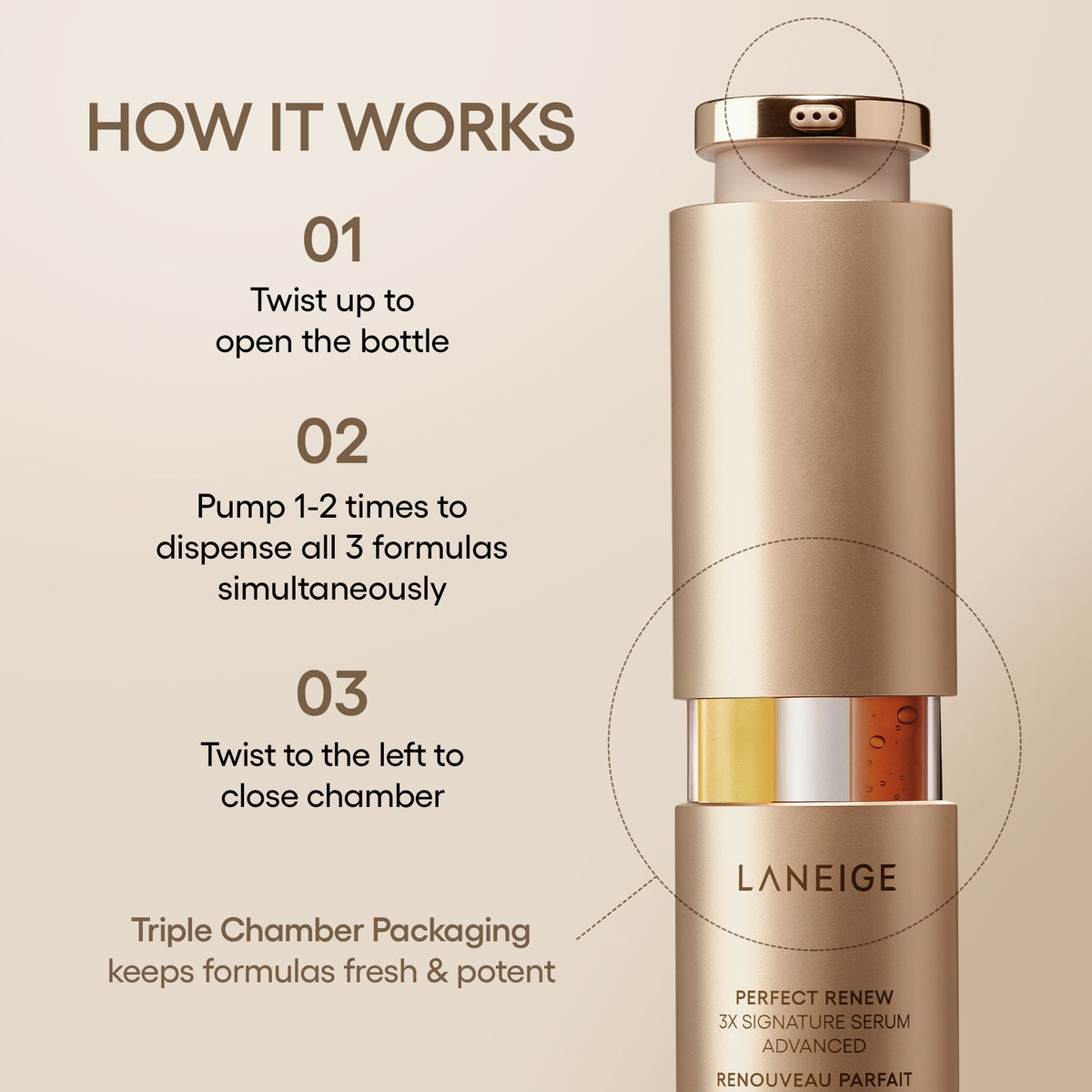 How to use Perfect Renew 3X retinol serum, AM and PM application steps