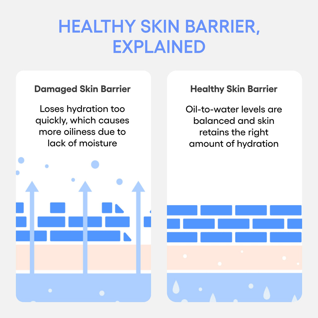 Water Bank Blue Hyaluronic Cream Moisturizer Skincare for Real Life